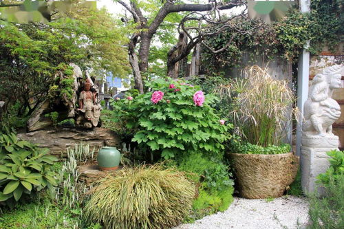 綠化工程苗木價格算法詳解